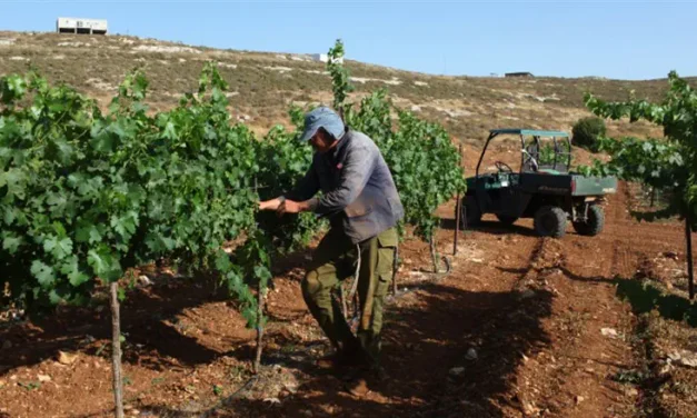 Binyamin Governor: ‘Response to sanctions must be dismantling of the PA’