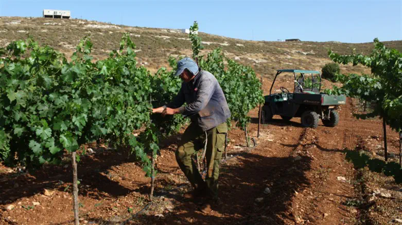Binyamin Governor: ‘Response to sanctions must be dismantling of the PA’