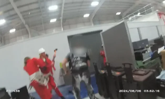 Palestine Action UK members jailed as judge rules Elbit factory raid had terror link