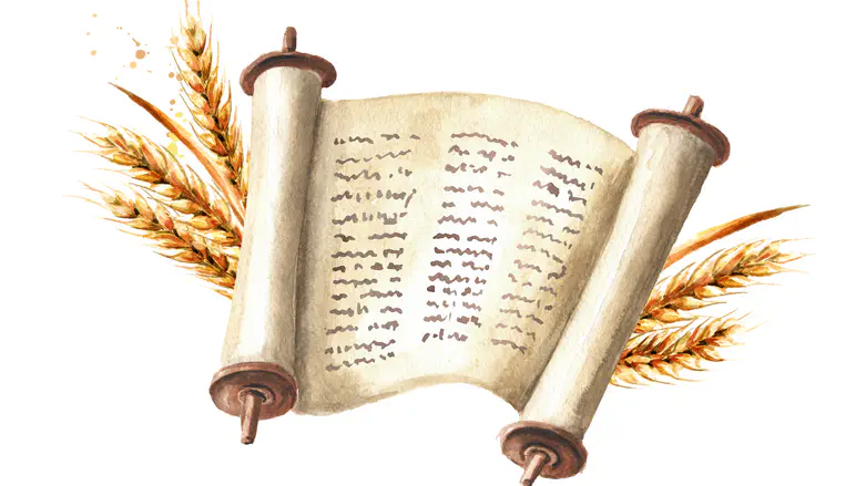 Conflict in Jewish society