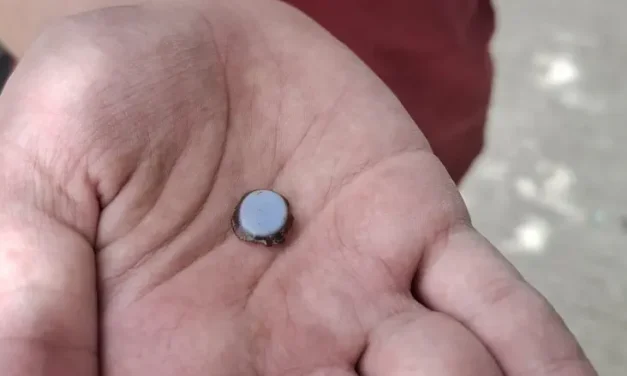 12-year-old uncovers ancient rare stone at national park