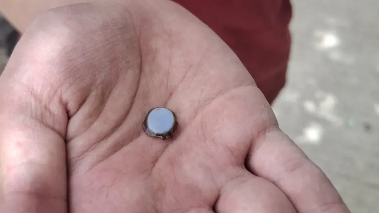 12-year-old uncovers ancient rare stone at national park