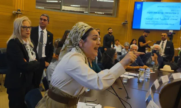Raucous in Knesset: MK Sohn Har-Melech bursts into Arab Knesset members’ discussion