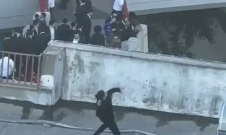 Security guard arrested after throwing stones at protest