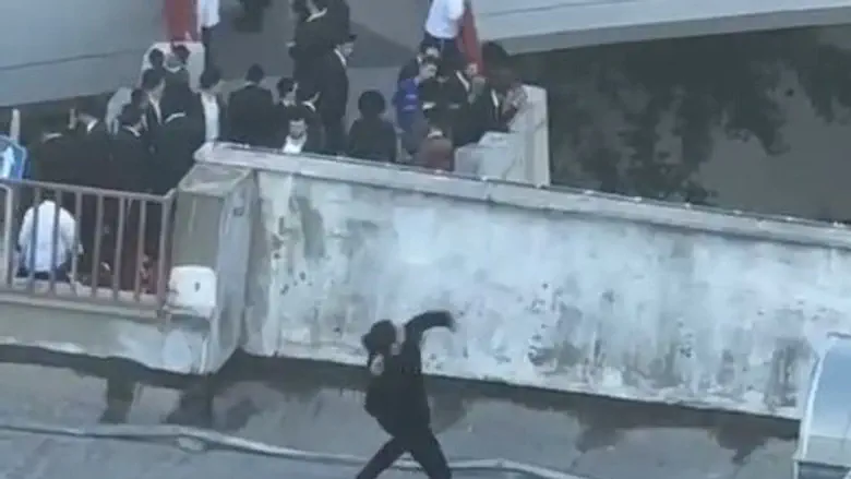 Security guard arrested after throwing stones at protest
