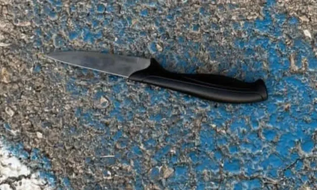 Attempted stabbing in north: Terrorist neutralized after trying to stab officer
