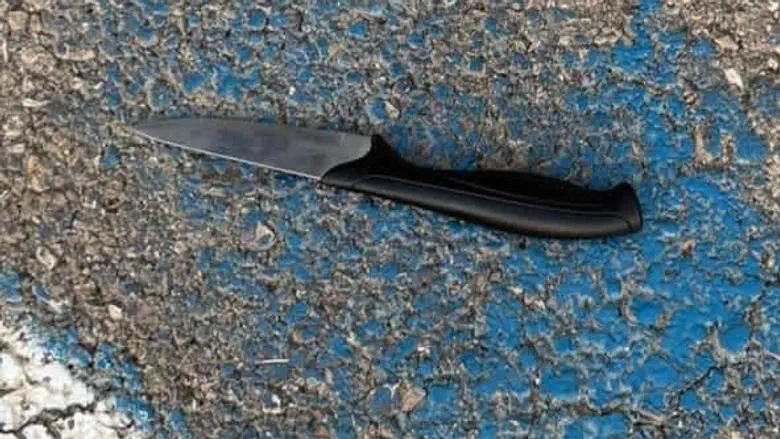 Attempted stabbing in north: Terrorist neutralized after trying to stab officer