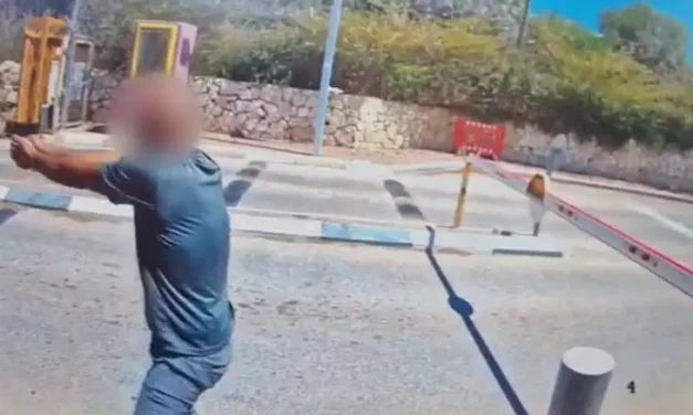 Footage from scene: Security coordinator returns fire, drives terrorist away