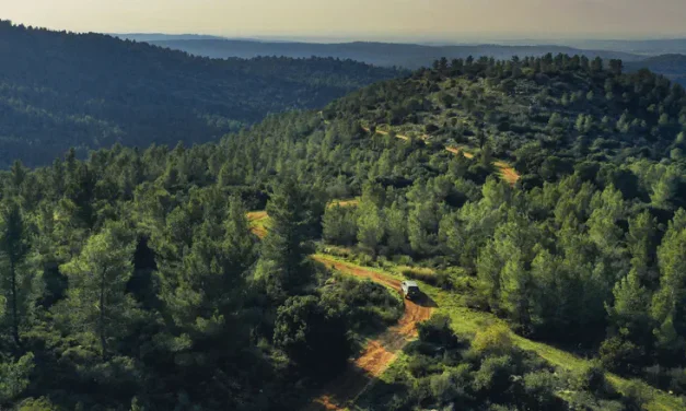 The luxury of being in harmony with nature