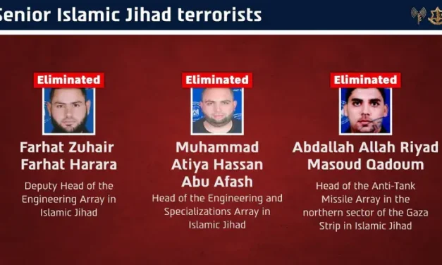 3 senior Islamic Jihad terrorists eliminated in Gaza