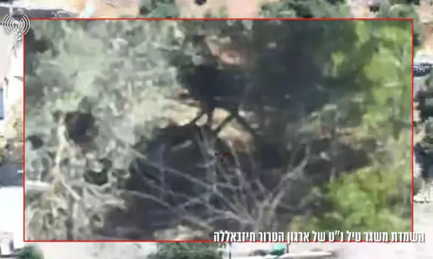 IDF destroys missile launcher hidden in bushes