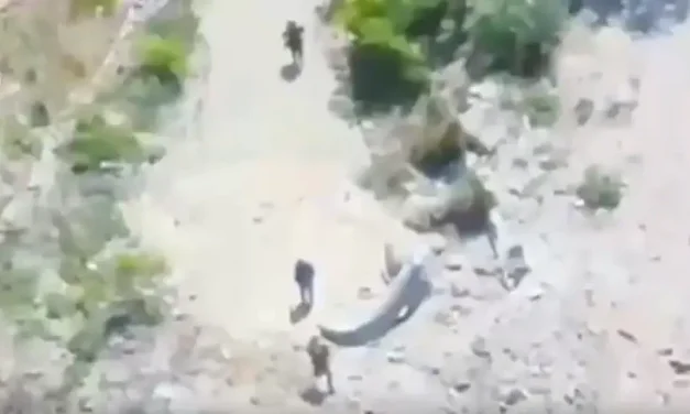 Watch: Seven terrorists spotted – and eliminated