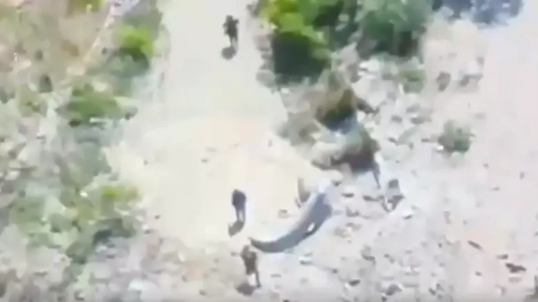 Watch: Seven terrorists spotted – and eliminated