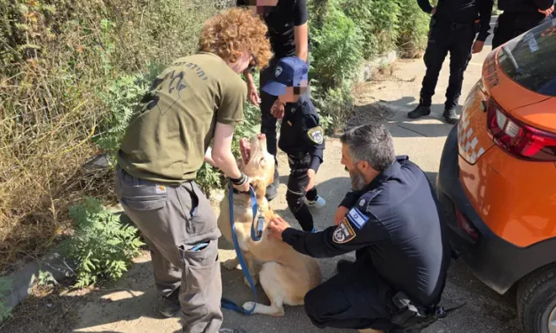 Israel Dog Unit brings joy to special needs child in Samaria