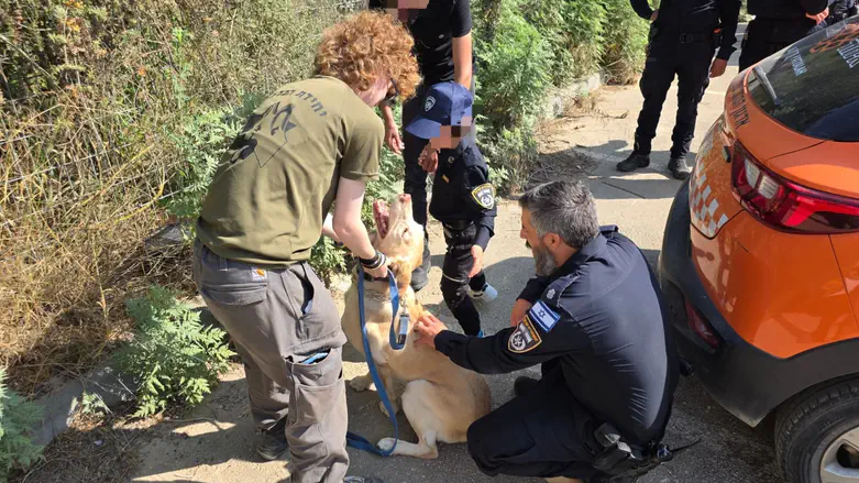 Israel Dog Unit brings joy to special needs child in Samaria