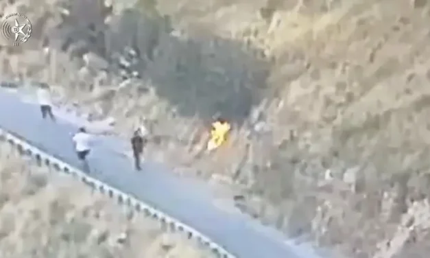 Three Issawiya residents arrested on suspicion of igniting a brush fire near IDF base