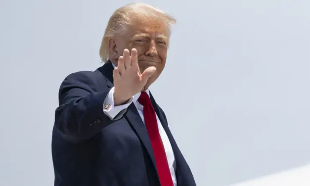President Donald Hussein Obama