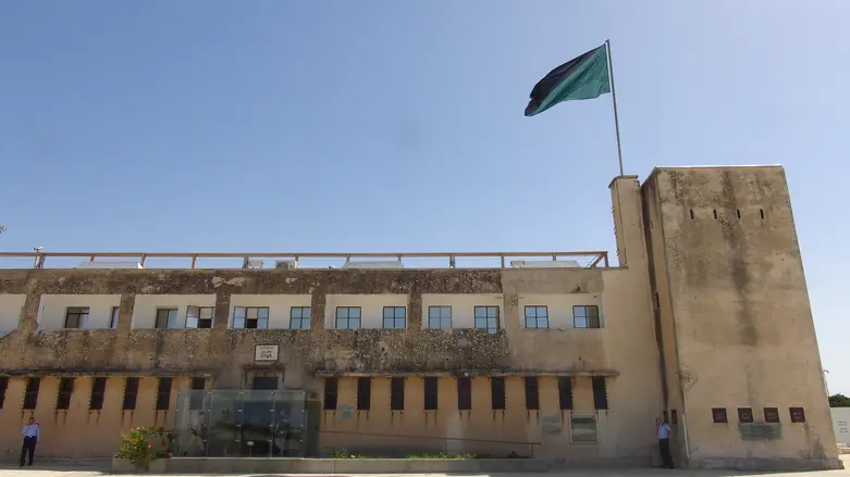 Third of Tammuz: Fighting for Israel