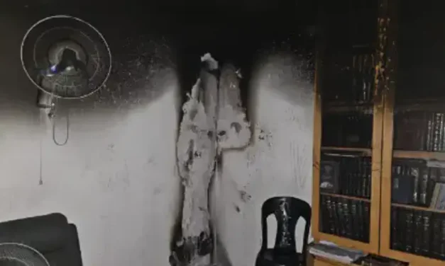 Girl saves family from burning apartment