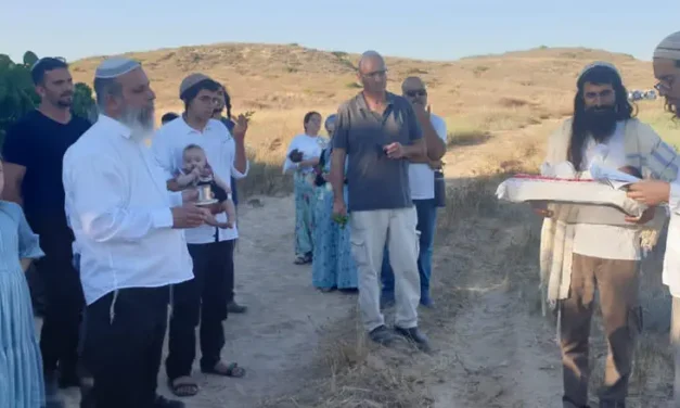 Redeeming the firstborn at the Gaza border