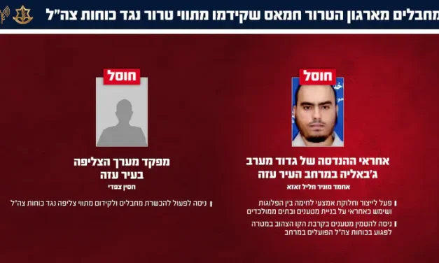 Two senior Hamas commanders eliminated in Gaza