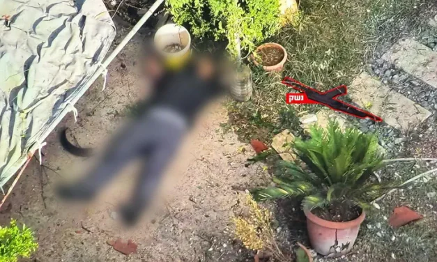 Two terrorists eliminated in Lebanon