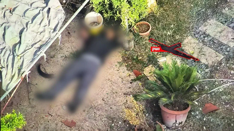 Two terrorists eliminated in Lebanon