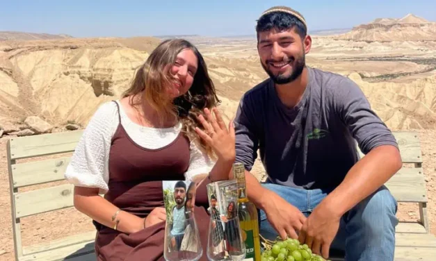 Restraining order instead of engagement gift