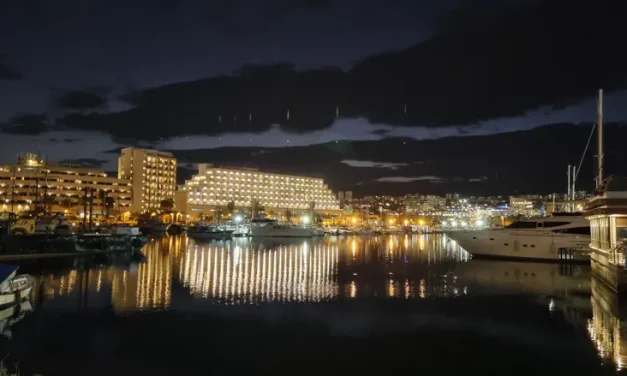Study reveals: Artificial light is keeping reef fish awake