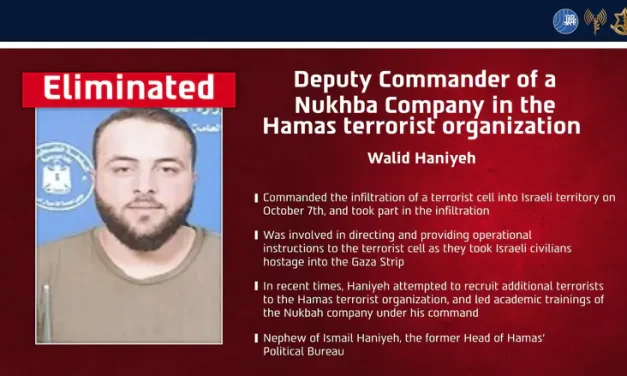 Walid Haniyeh, deputy  Nukhba company commander, eliminated in Gaza