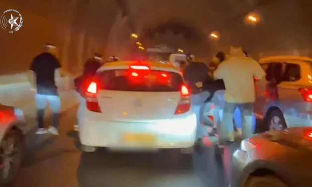 Watch: Detectives ambush burglars in Jerusalem