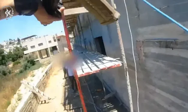 With guns drawn | Watch: Police raid construction site and arrest illegals