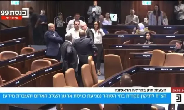 Physical clash in Knesset between Ofir Katz and Ayman Odeh