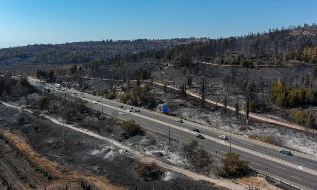 KKL-JNF approves wildfire preparedness program in central Israel