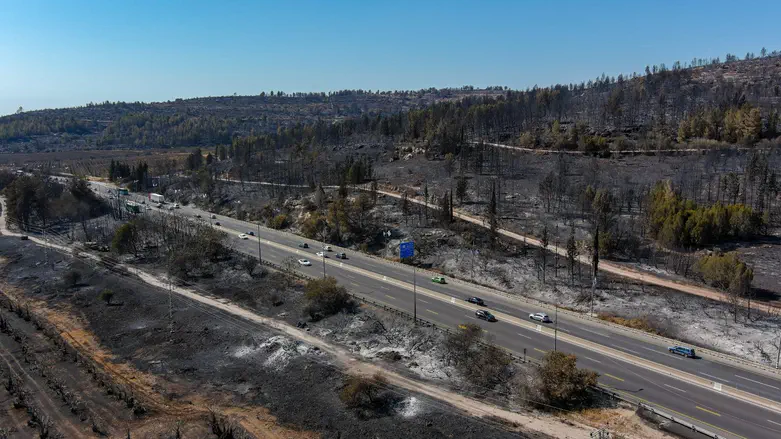 KKL-JNF approves wildfire preparedness program in central Israel