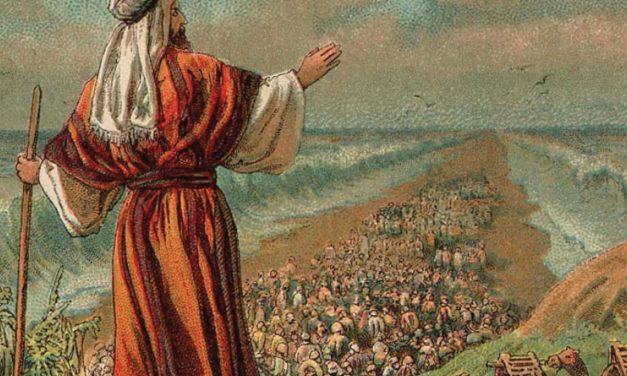 A different mind, a shared covenant – opinion