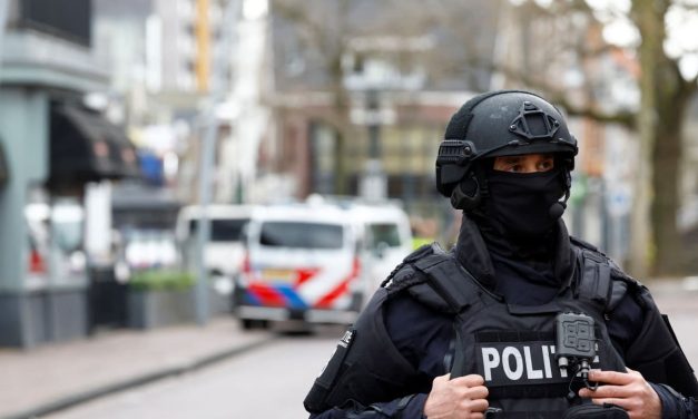 Dutch police foil alleged bomb, arson plot against synagogue – report