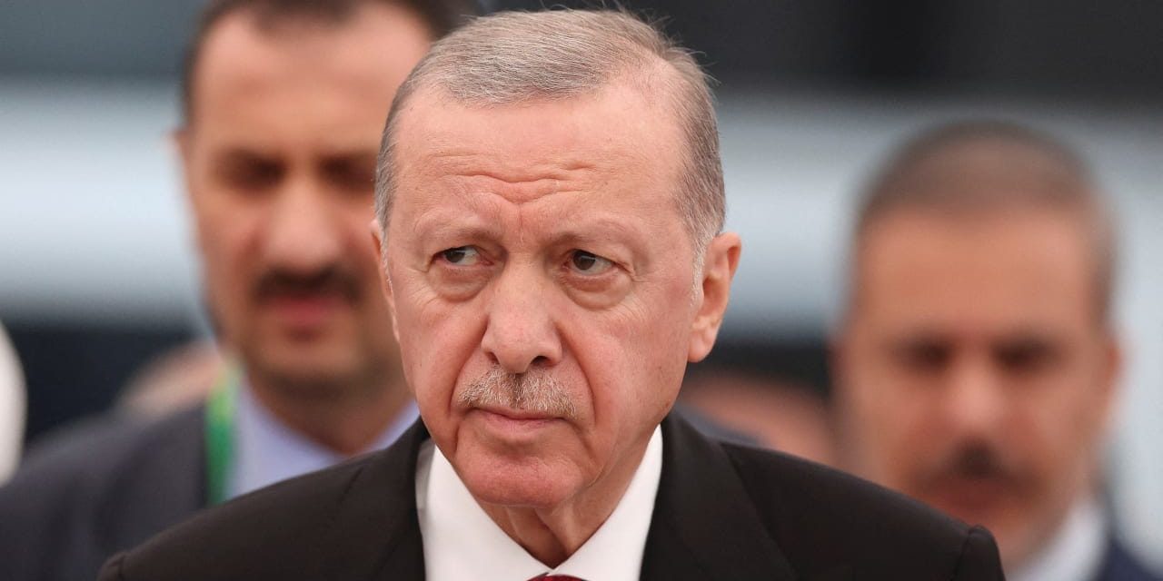 Turkey’s democracy is dying as Erdogan dismantles opposition – opinion