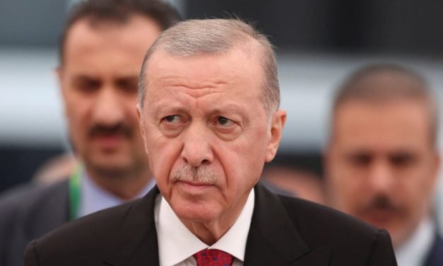 Turkey’s democracy is dying as Erdogan dismantles opposition – opinion