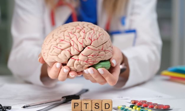 ‘Third therapist in the room’: Inside Israel’s psychedelic trauma trial