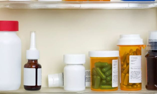 Israeli-founded AI biotech Immunai launches drug-discovery collaboration with Boehringer Ingelheim