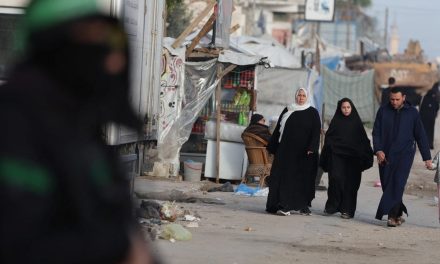 Pushing Iran, Hamas regimes towards collapse might not be possible, military expert says