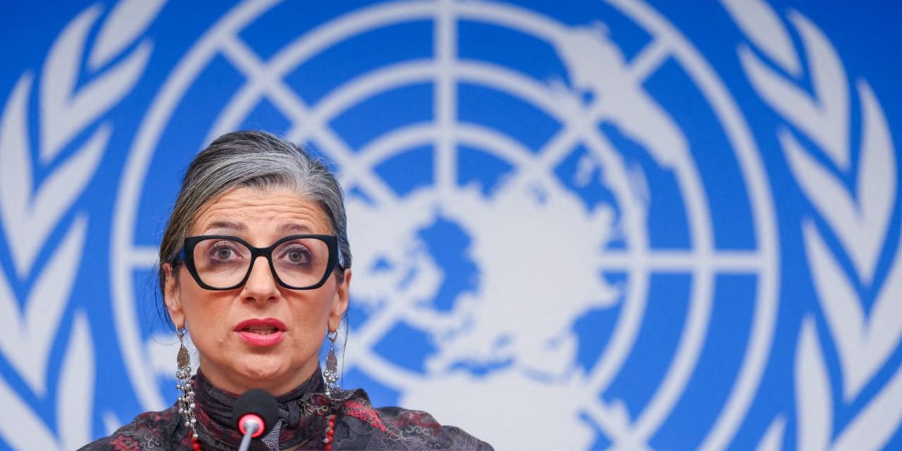 How UN ‘human rights experts’ became a tool of dictatorships – opinion
