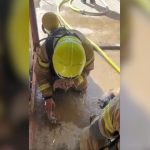 WATCH: Firefighters give lifesaving treatment to kittens rescued from burning building in Negev
