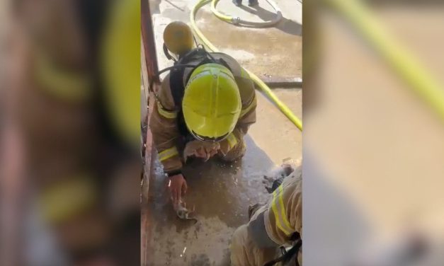 WATCH: Firefighters give lifesaving treatment to kittens rescued from burning building in Negev