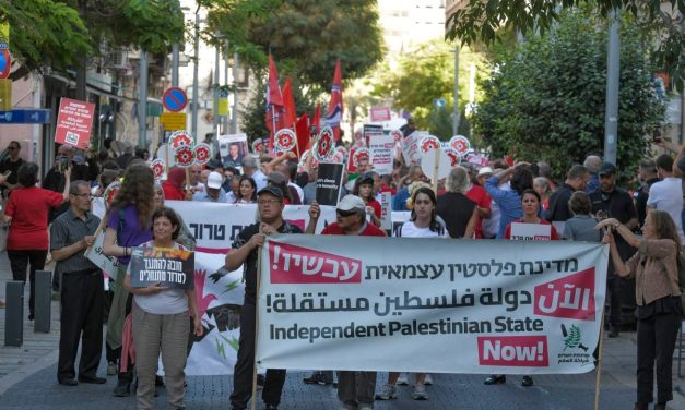 Man arrested for waving Palestine flag at joint Jewish-Arab anti-government protest