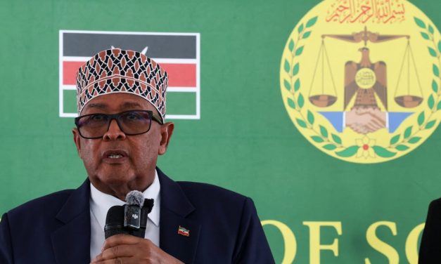 Somaliland president to make historic first visit to Israel following country’s recognition