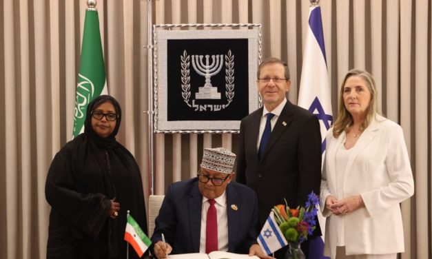 From Somaliland to Gaza: Rebuilding through maternal, developmental security – opinion