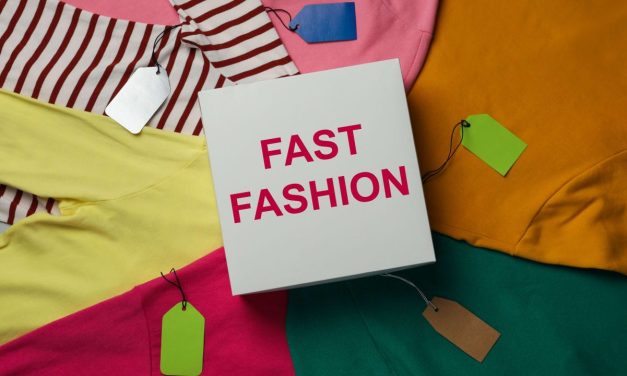 Stop blaming shoppers for fast fashion: Israel’s government should fix the market – opinion
