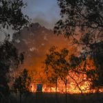 New Israeli AI system detects wildfires within minutes using sound sensors – interview